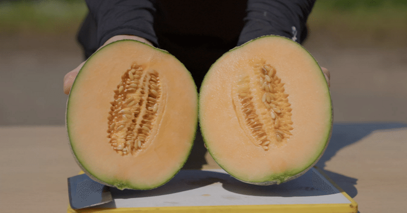 Tsunagaru Melon | 未来へつながるメロン